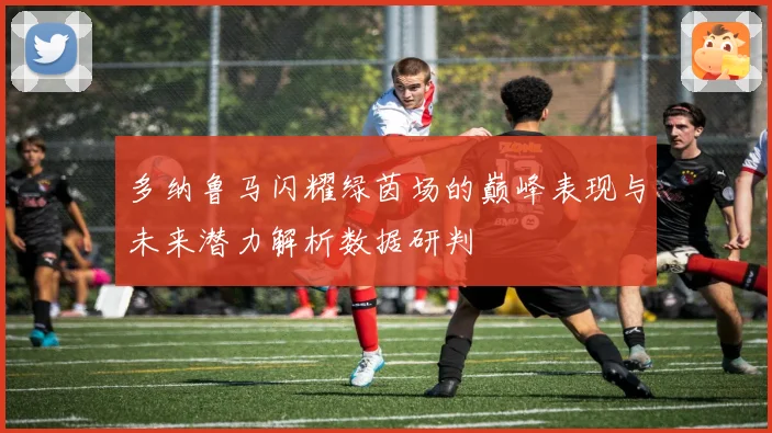 多纳鲁马闪耀绿茵场的巅峰表现与未来潜力解析数据研判