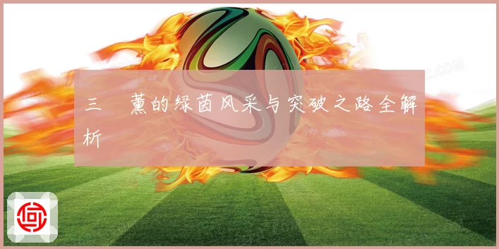 三笘薰的绿茵风采与突破之路全解析