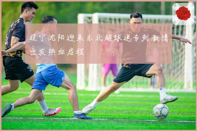 辽宁沈阳迎来东北超球迷专列激情出发热血启程