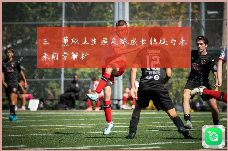 三笘薰职业生涯足球成长轨迹与未来前景解析