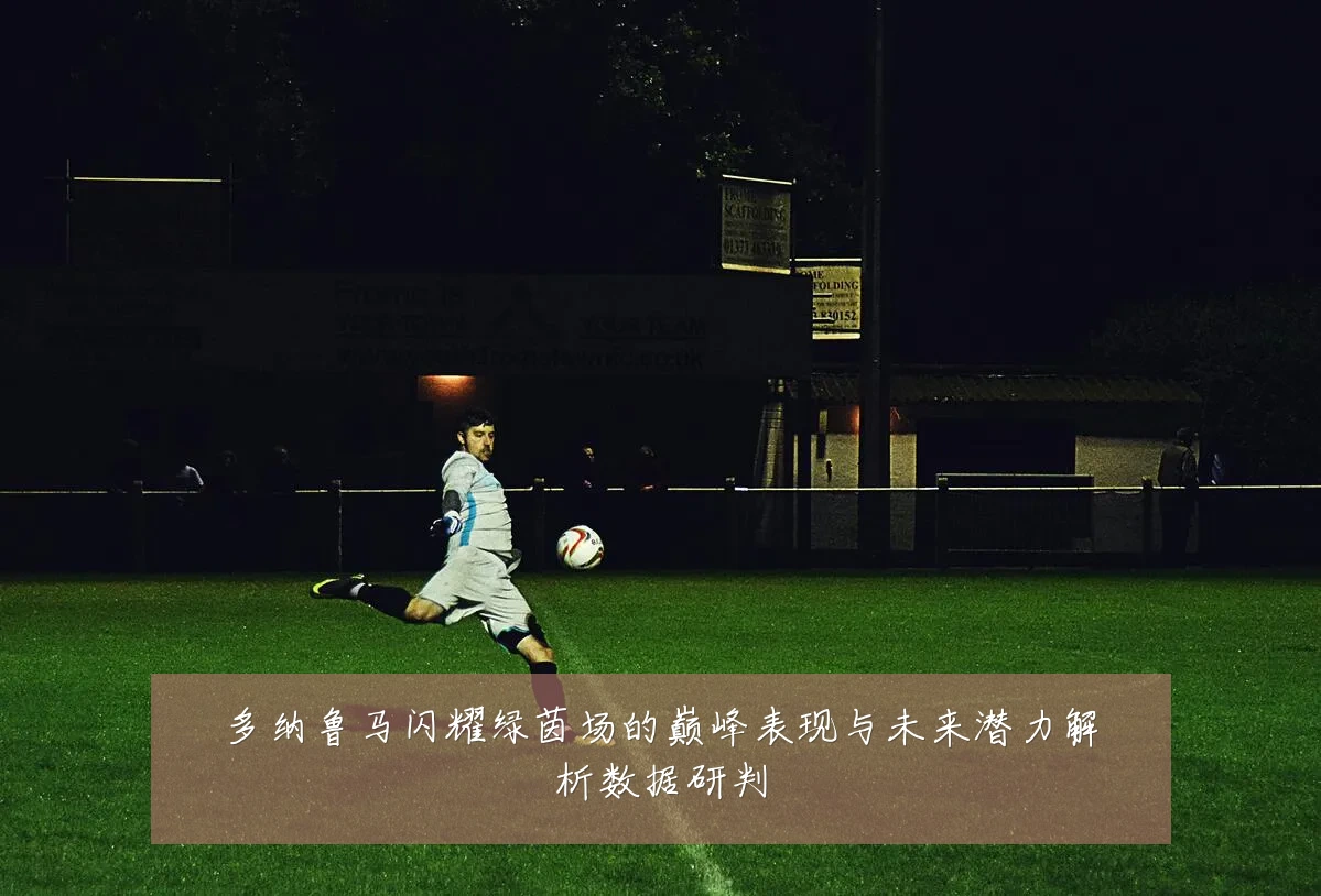 多纳鲁马闪耀绿茵场的巅峰表现与未来潜力解析数据研判
