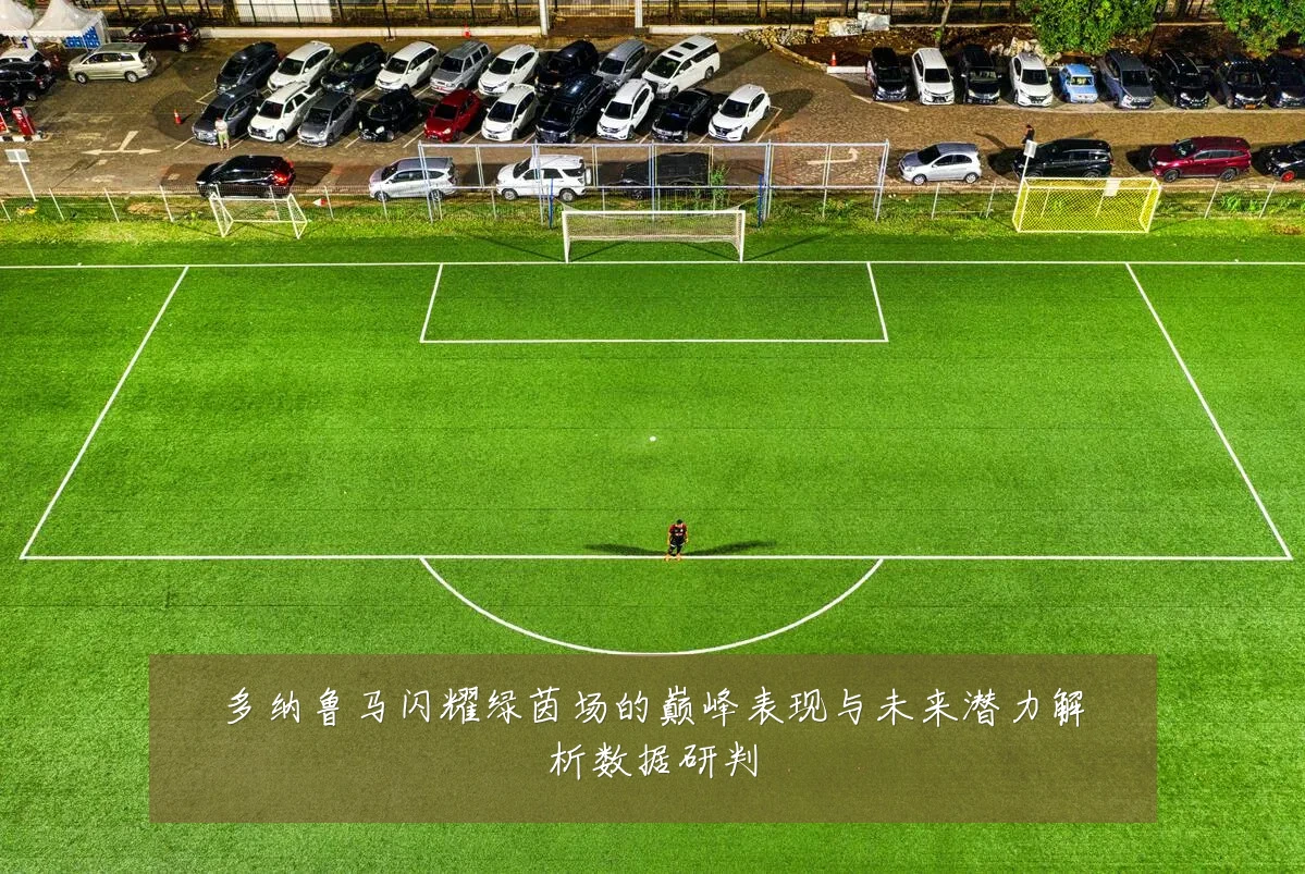 多纳鲁马闪耀绿茵场的巅峰表现与未来潜力解析数据研判